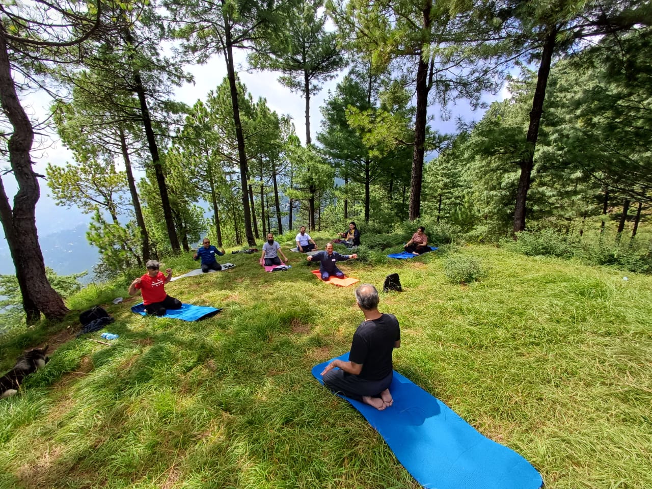 Experiential workshop with an extensive miniature landscape model on a long table
